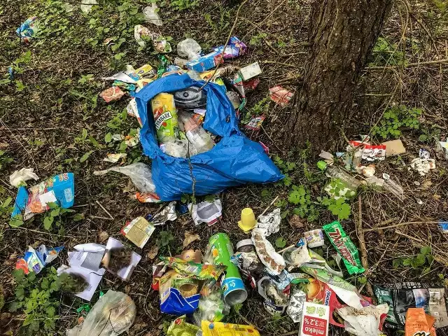 Mieszkanka Augustowa została ukarana za zaśmiecanie lasu. Odpady wywiozła na drugi koniec miasta, ale i tak nie uniknęła odpowiedzialności