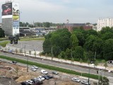 Przebudowa centrum Katowic: przy al. Korfantego posadzili drzewa [ZDJĘCIA]