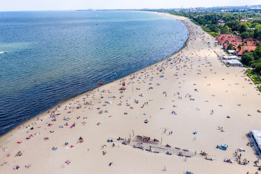 Choć sinice występują głównie nad morzem, spotyka je się...