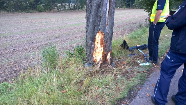 Młody mężczyzna został przetransportowany śmigłowcem Lotniczego Pogotowia Ratunkowego do jednego z bydgoskich szpitali