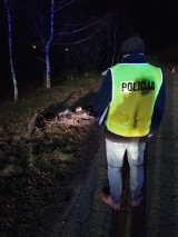 Tragedia w gminie Wicko. Pijany kierowca spod Słupska wjechał w motorowerzystę