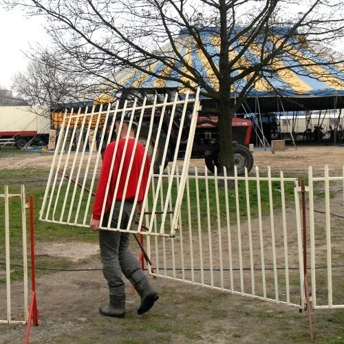 Cyrk Zalewski rozkłada się miejscu, gdzie rosną nieliczne dęby i klony. Czytelnicy twierdzą, że to najmniej odpowiednie miejsce do rozkładania się cyrku, miasto jest przeciwnego zdania.