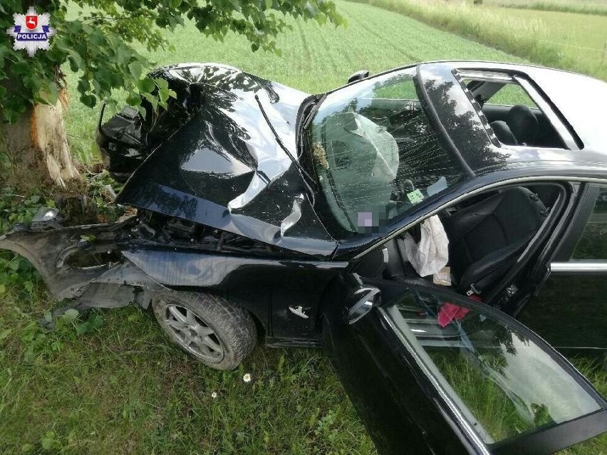 Michów. Rozbił pożyczony samochód przez... antylopę. Pijany 34-latek z Tanzanii uciekał przed policją