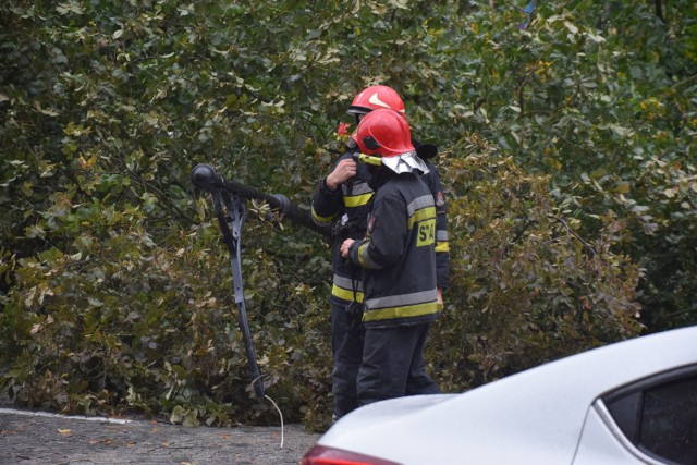 Strażacy usuwali szkody, wyrządzone przez wichurę