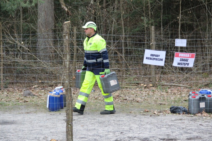 Zlikwidowano niebezpieczne składowisko w Puszczy Kozienickiej. Beczki z toksycznymi odpadami zostały wywiezione