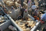 Syria: Przez Putina miliony umrą z głodu, jeśli Rosja odetnie ostatnią drogę, przez którą dociera pomoc