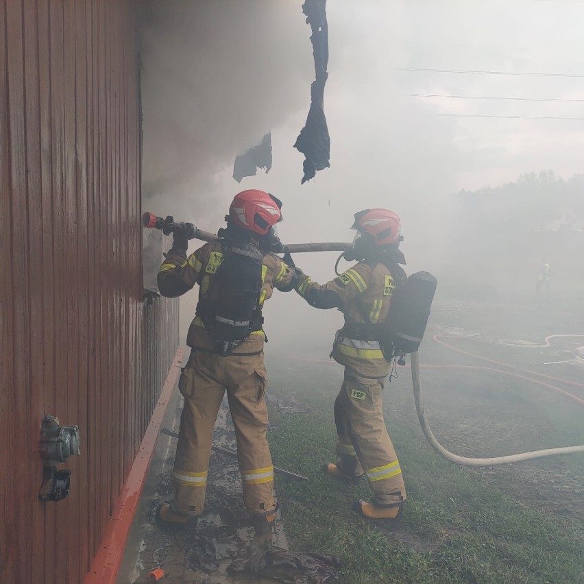 Widowiskowe ćwiczenia strażaków-ochotników z ziemi strzyżowskiej. Gasili pożar domu [ZDJĘCIA]