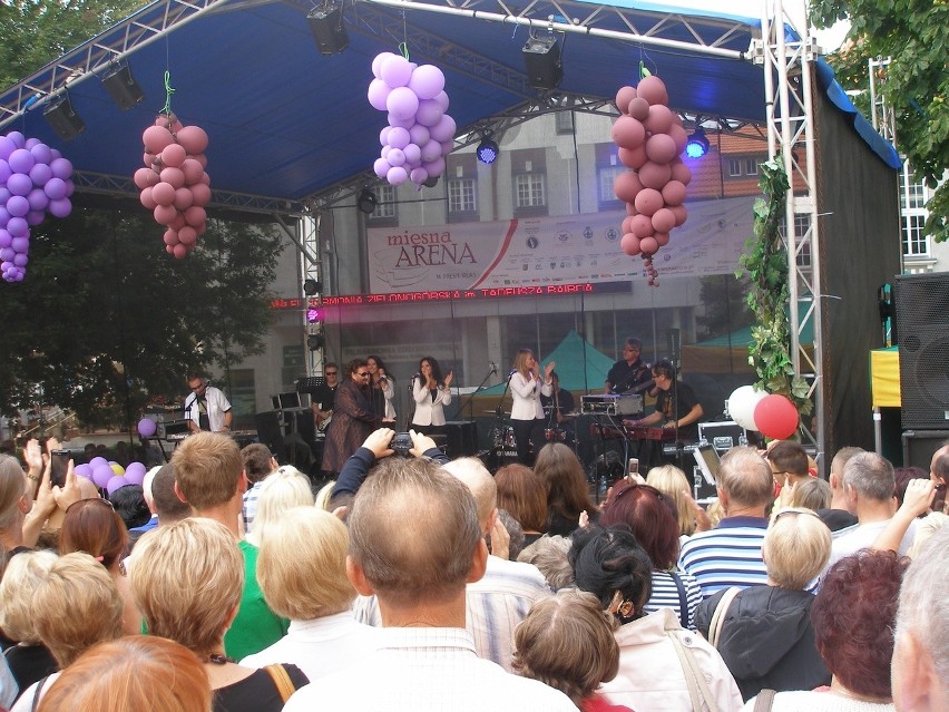 Krzysztof Krawczyk na małej winobraniowej scenie