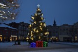 Choinki stanęły na Rynku i placu Wybickiego w Kościerzynie. Miasto gotowe na święta Bożego Narodzenia!
