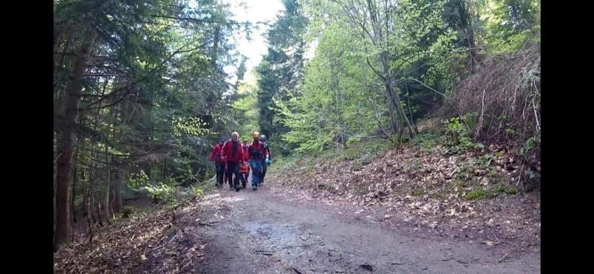 Poważny wypadek pod Lubaniem. Rowerzystce konar przebił udo. Na pomoc ruszył GOPR