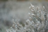 W piątek śnieg i śnieg z deszczem. Meteorolodzy ostrzegają przed gołoledzią!