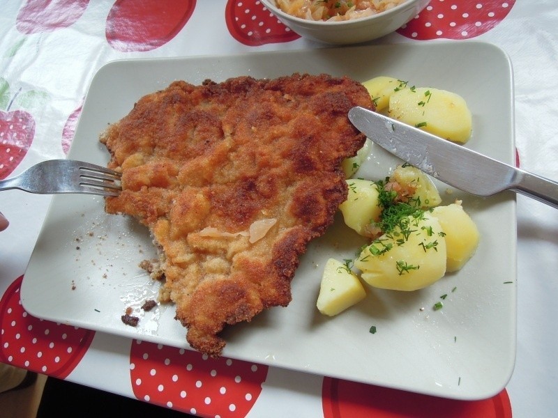 Pod Jabłonką Łódź - restauracja Pod Jabłonką [FILM, zdjęcia]. Kotlety z karkówki Magdy Gessler