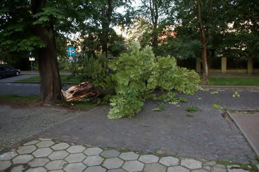 Dziś (czwartek 22.08) na jezdnię i chodnik przy ulicy...