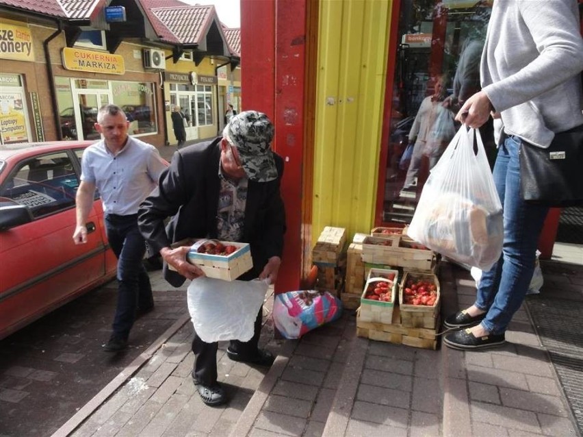 Truskawki w Kartuzach. Jakie odmiany możemy jeszcze kupić? [CENY]