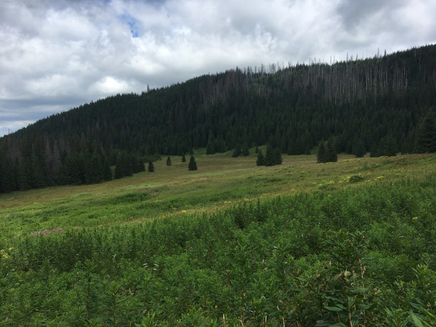 Tatry. Turystów na górskich szlakach jest sporo, ale tłumów (na szczęście) nie spotkamy