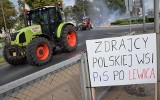 Inowrocław. Traktory z flagami na ulicach Inowrocławia. Rolnicy protestowali przeciw nowelizacji ustawy o ochronie zwierząt. Zdjęcia