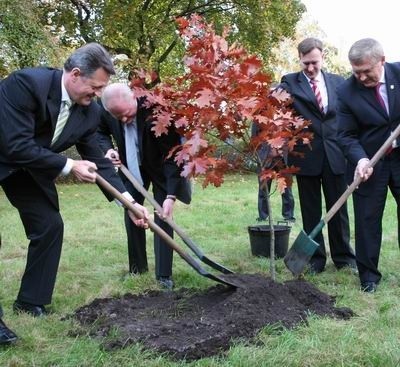 Trzej prezydenci Białegostoku, Suwałk i Łomży oraz poseł Tyszkiewicz zasadzili w Białymstoku Dąb Przymierza.