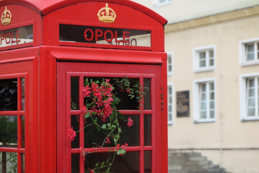 Angielska budka telefoniczna stojąca na rynku w Opolu ma...