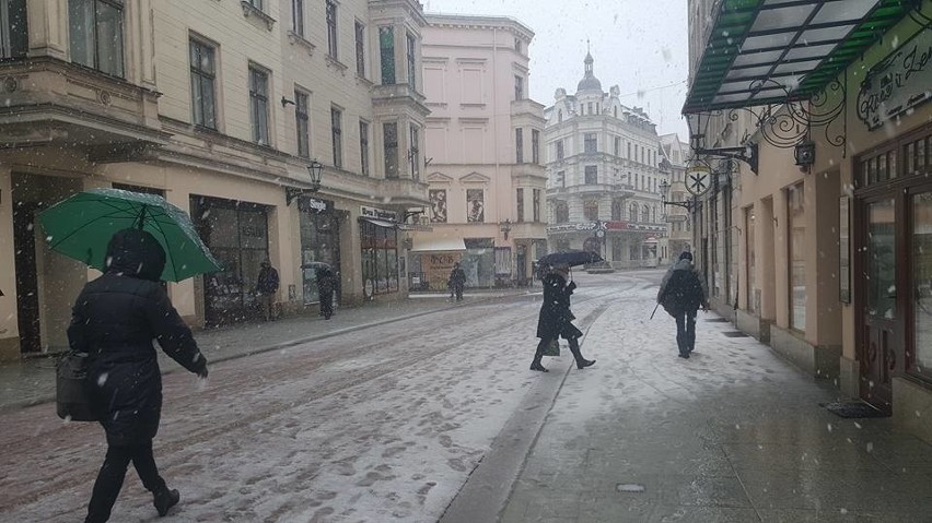 Powrót zimy w Toruniu? [ZDJĘCIA]