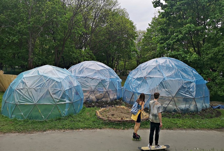 Kraków. Pierwsza krakowska farma miejska powstaje w Parku Kleparskim [ZDJĘCIA]