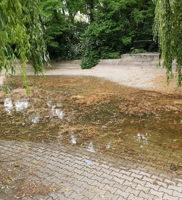 Nienapełniony staw w parku im. Staszica w Łodzi. Bawią się w nim dzieci 