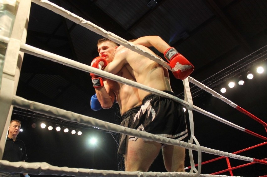 Głogowianie zdominowali Legion Fight Night [Zdjęcia Część 1]