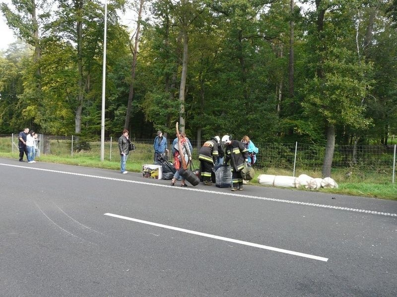Wypadek na drodze Stargard - Szczecin