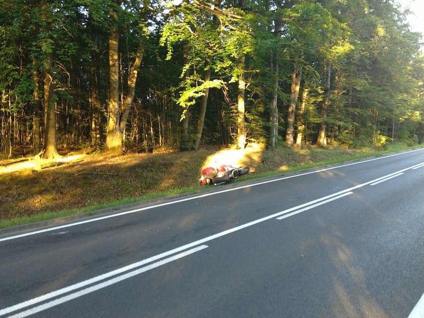 Zderzenie motocyklisty z sarną (zdjęcia)