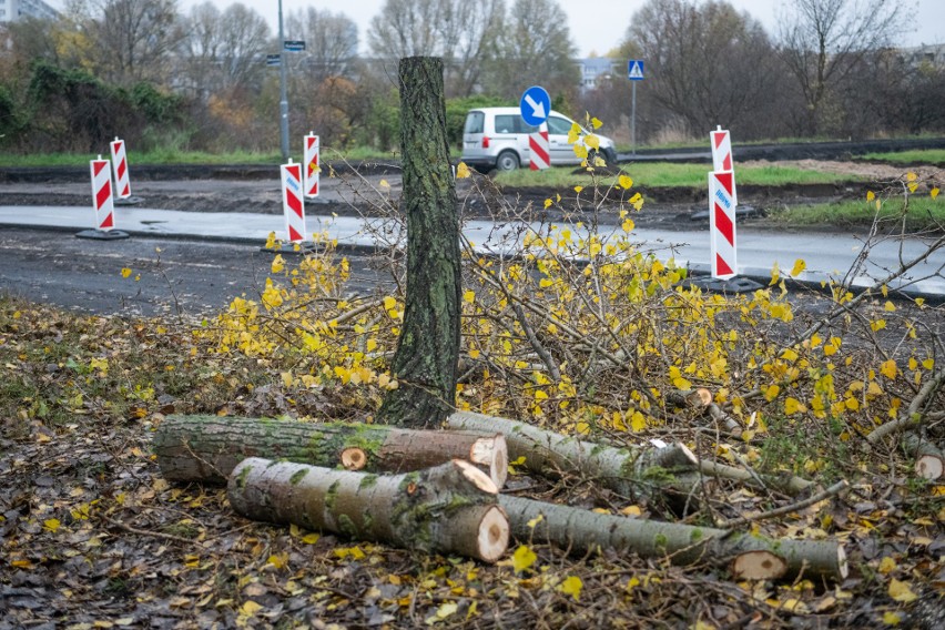 Protesty mieszkańców wstrzymały decyzję środowiskową...