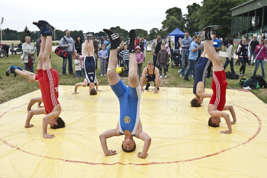 W niedzielę na Partynicach 3. Piknik Olimpijski Wrocławia i Dolnego Śląska (PROGRAM)