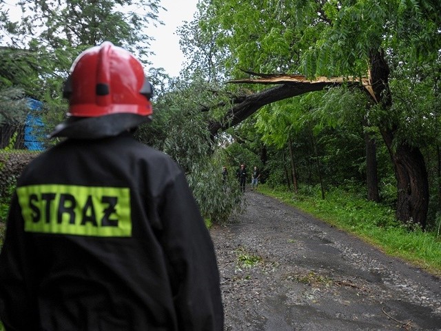 Złamane drzewo nad drogą w Kuńkowcach pod Przemyślem.