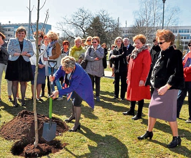 Jedna z akcji sadzenia drzewek przyjaźni. Pierwsza z prawej - Danuta Wałęsa, honorowa Lady Soroptymist
