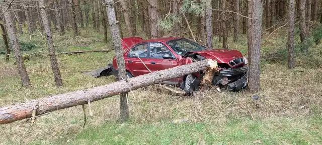 Kierujący samochodem, zjechał do rowu, po czym uderzył w drzewo, które przewróciło się na jezdnię.