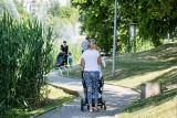 Będą nowe inwestycje w parku wokół Balatonu na bydgoskich Bartodziejach 