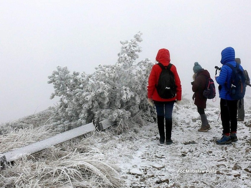 Zima zawitała na Podkarpacie. Śnieg jest już w Bieszczadach [ZDJĘCIA]