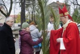 Niedziela Palmowa 2019: Poznaniacy tłumnie święcili palmy [ZDJĘCIA]