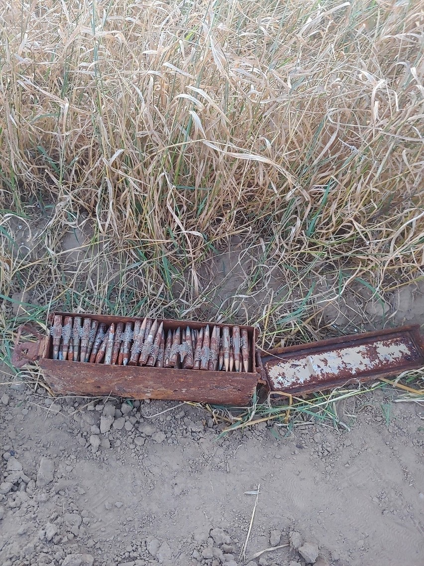 Mieszkaniec gminy Mrocza znalazł skrzynkę z amunicją z II wojny światowej 