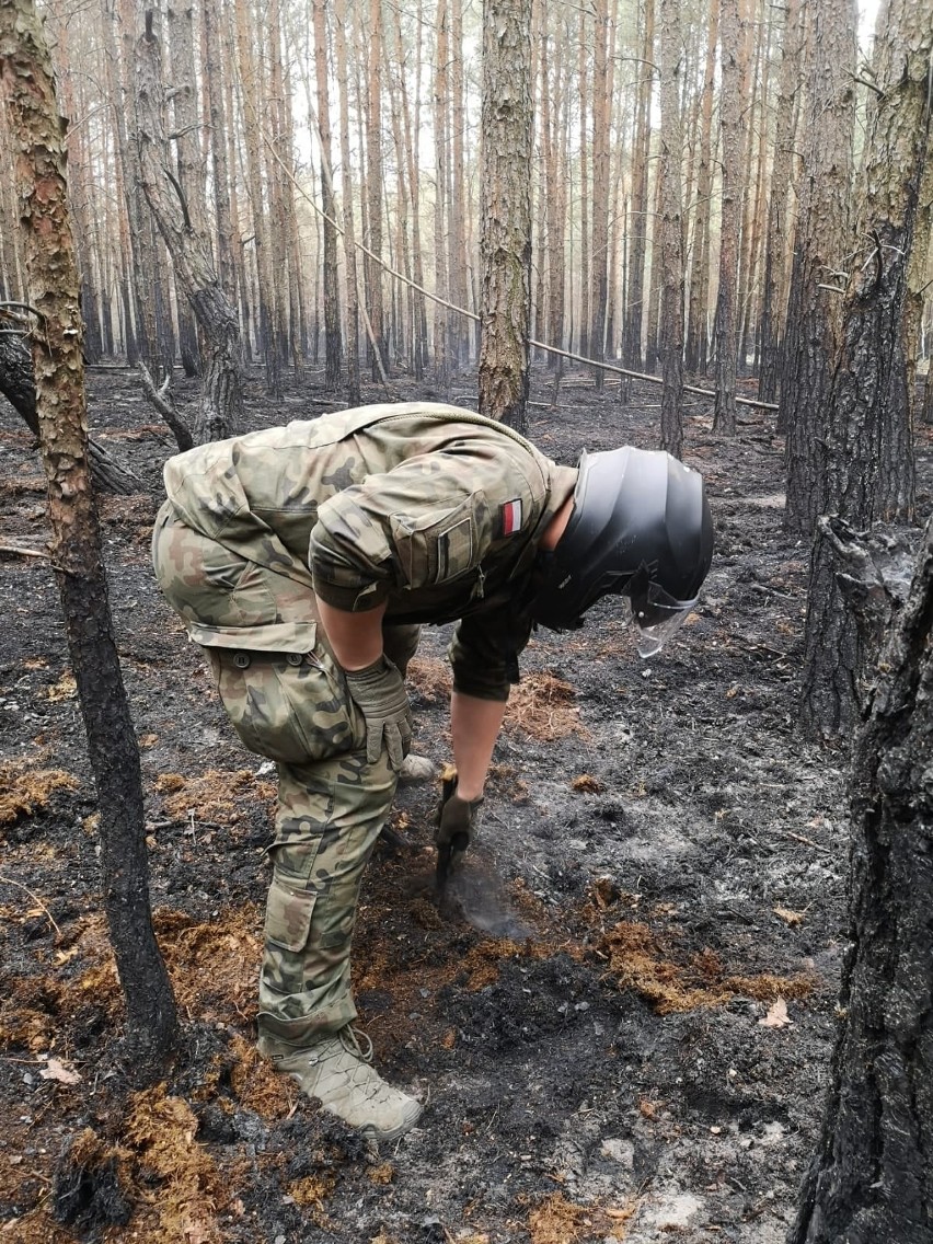 Żołnierze Wojsk Obrony Terytorialnej uchronili lasy gminy Odrzywół przed podpalaczami [ZDJĘCIA]
