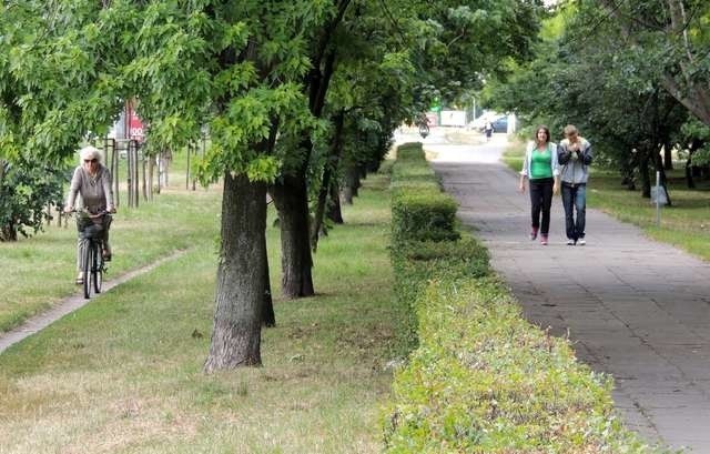 Jedną z propozycji obywatelskich jest budowa chodnika ze ścieżką rowerową po północnej stronie Szosy Lubickiej między ulicami Jamontta a Działowskiego