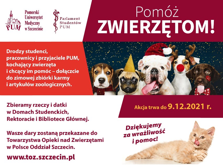 PUM organizuje zbiórkę na rzecz potrzebujących zwierząt ze Szczecina. Sprawdź, jak przyłączyć się do akcji