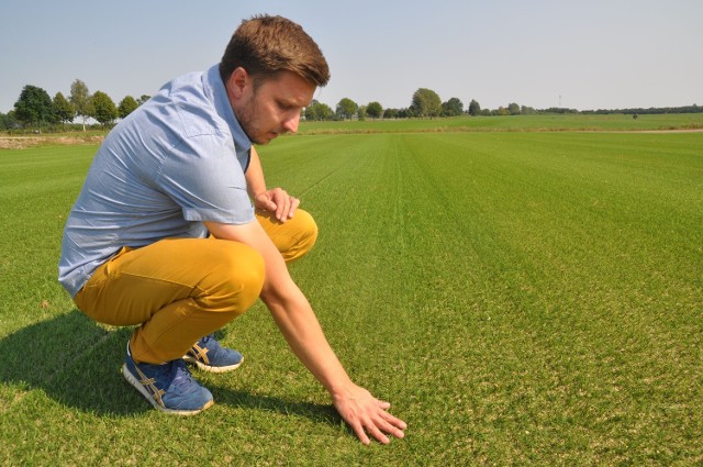 Tomasz Czuszel pokazuje poletko trawy hybrydowej rosnącej koło Szczecinka