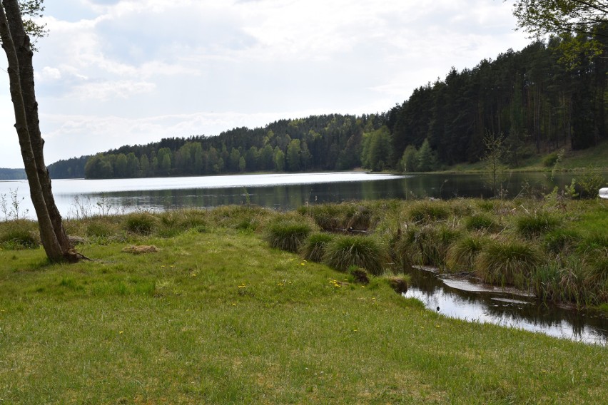 Gmina Studzienice to przede wszystkim jeziora i lasy.