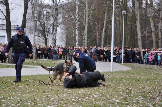 W związku Dniami Otwartymi Instytutu Biologii Uniwersytetu w Białymstoku podlascy policjanci zademonstrowali pokaz umiejętności swoich psów.