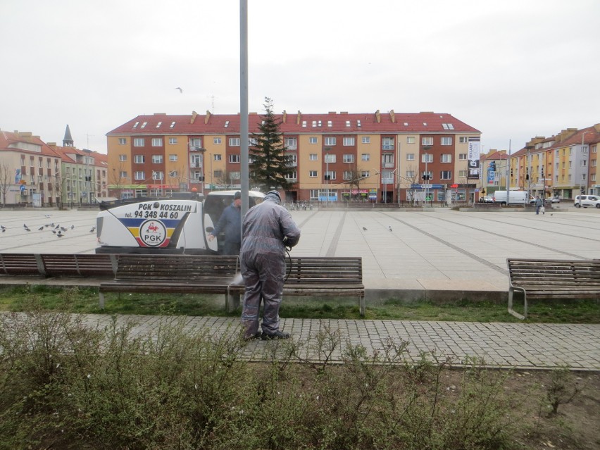 Przystanki autobusowe w Koszalinie zostaną odkażone. Akcja przeciw koronawirusowi rozpoczęta [zdjęcia]