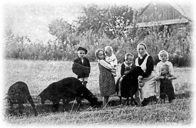 Wiktoria Ulma z dziećmi. Od lewej Władzio, Stasia (trzymająca na rękach Marysię), Franuś (na baranku), Basia i Antoś (jesień 1943)