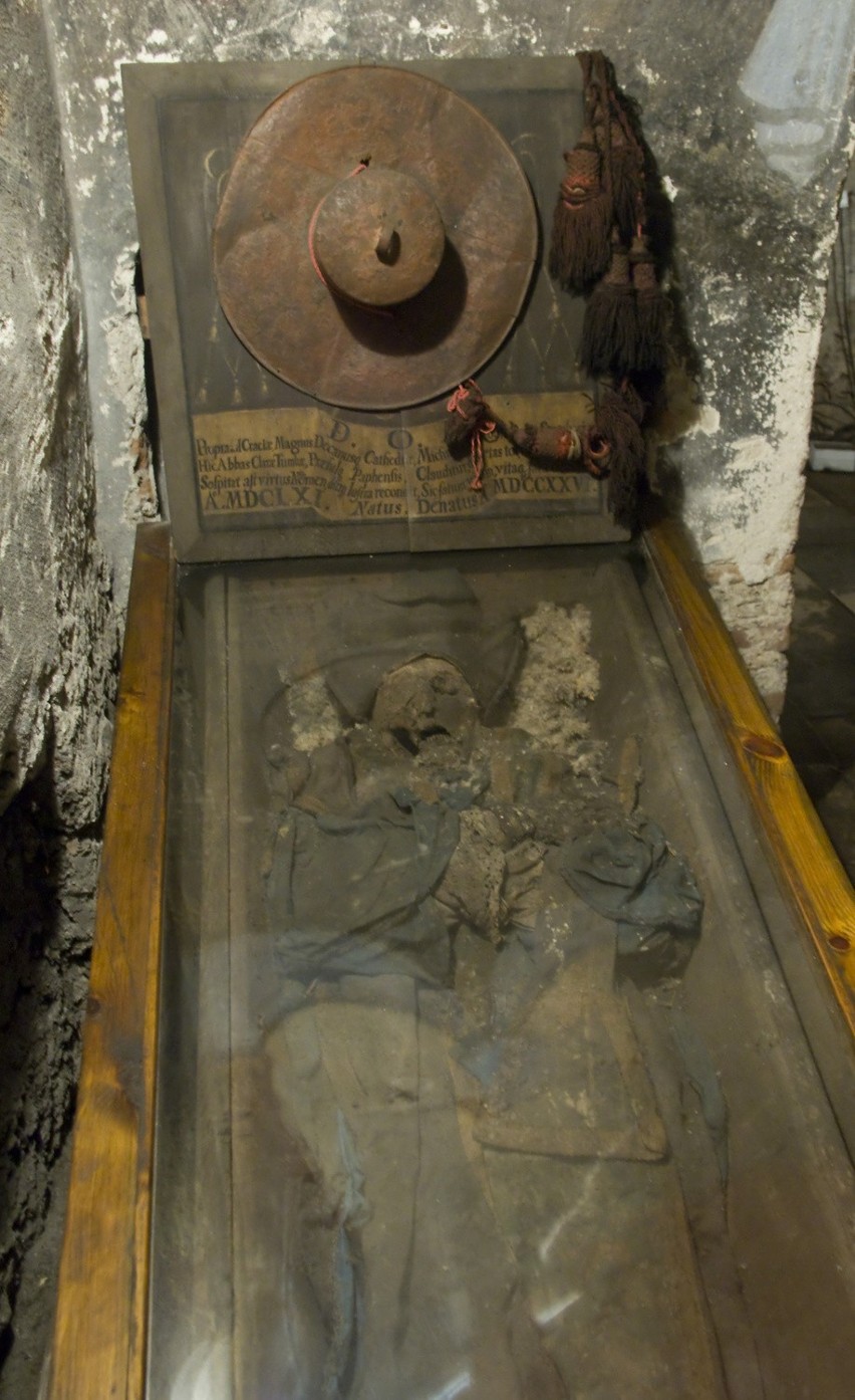 Szkielety z krypt klasztoru Reformatów