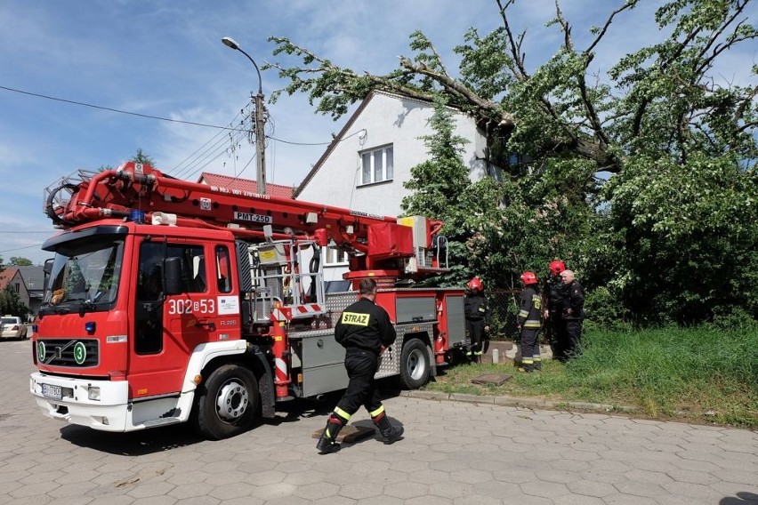 Straż pożarna ze specjalistycznym sprzętem usuwa drzewo,...