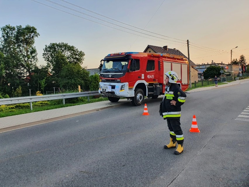 Co za akcja! Bocian dławił się workiem foliowym. Na ratunek...