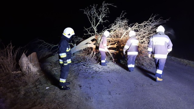 W poniedziałek po godz. 4 nad ranem straż pożarna z OSP KSRG Stubno została wysłana do powalonego drzewa na drodze Stubno - Gaje w powiecie przemyskim. Ratowników zaalarmował kierowca, który omal nie wjechał w drzewo. Według strażaków ktoś specjalnie ściął drzewo.Zobacz też: Straż pożarna podsumowanie roku na Podkarpaciu
