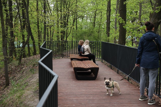 Park Bednarskiego jest jednym z najbardziej uroczych zielonych miejsc  Krakowie